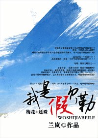 (琼瑶同人)我是假贝勒