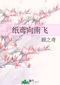 《纸鸢向南飞》